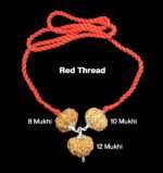 Rudraksha Combination for Protection 8,10,12 Mukhi Nepal in Silver Pendant