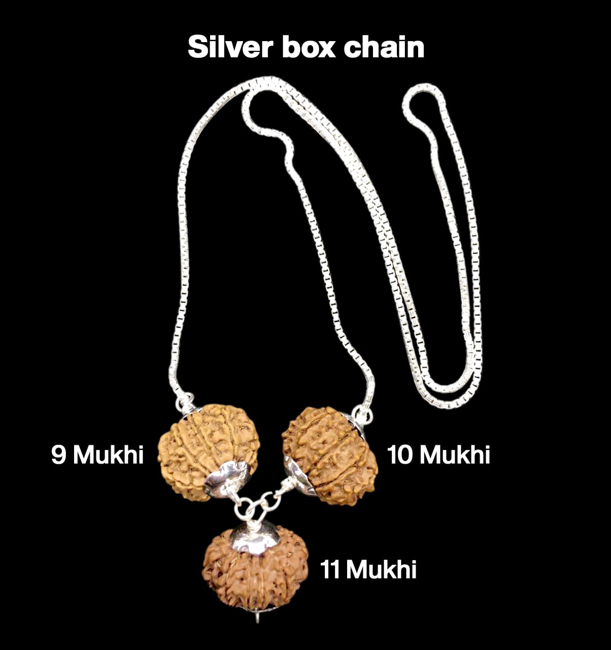 09-10-11-2.jpg Rudraksha Combination for Total Protection 9,10,11 Mukhi Nepal in Silver Chain - Image 1