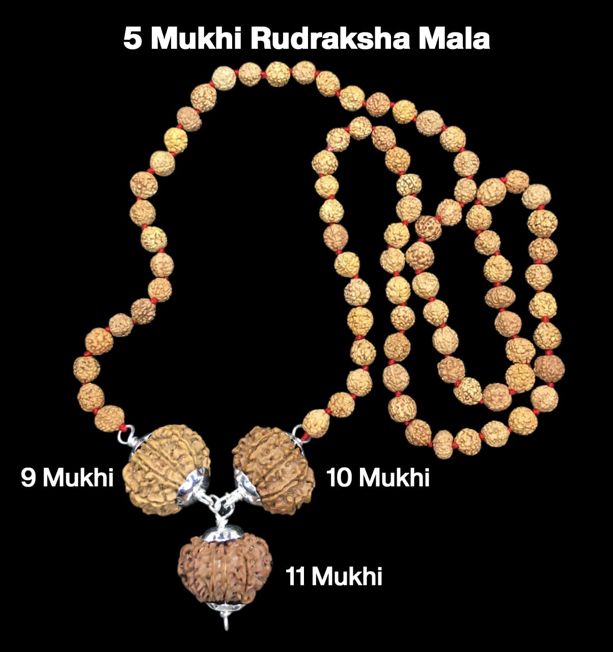 09-10-11-3.jpg Rudraksha Combination for Total Protection 9,10,11 Mukhi Nepal in Rudraksha Mala - Image 1