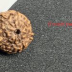 8 mukhi premium Quality Indonesian rudraksha 16mm + xray certificate avaliable