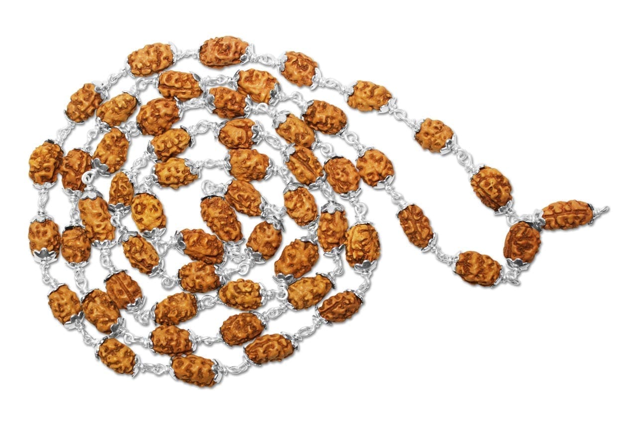 2mukhimalasilver.jpg 2 Mukhi Indonesian Rudraksha Mala 54 Beads In Silver (7mm-9mm) - Image 1