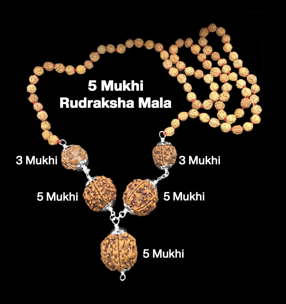 3-3-5-5-5-22.jpg Rudraksha Combination for Health Power 3,3,5,5,5 Mukhi Nepal in Rudraksha Mala - Image 1