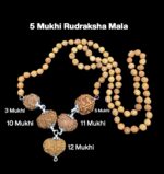 Rudraksha Combination for Navagraha Shanti 3,5,10,11,12 Mukhi Nepal in Rudraksha Mala