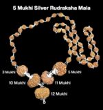 Rudraksha Combination for Navagraha Shanti 3,5,10,11,12 Mukhi Nepal in Silver Mala