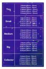 Rudraksha Combination for Navagraha Shanti 3,5,10,11,12 Mukhi Nepal in Silver Mala - Image 2