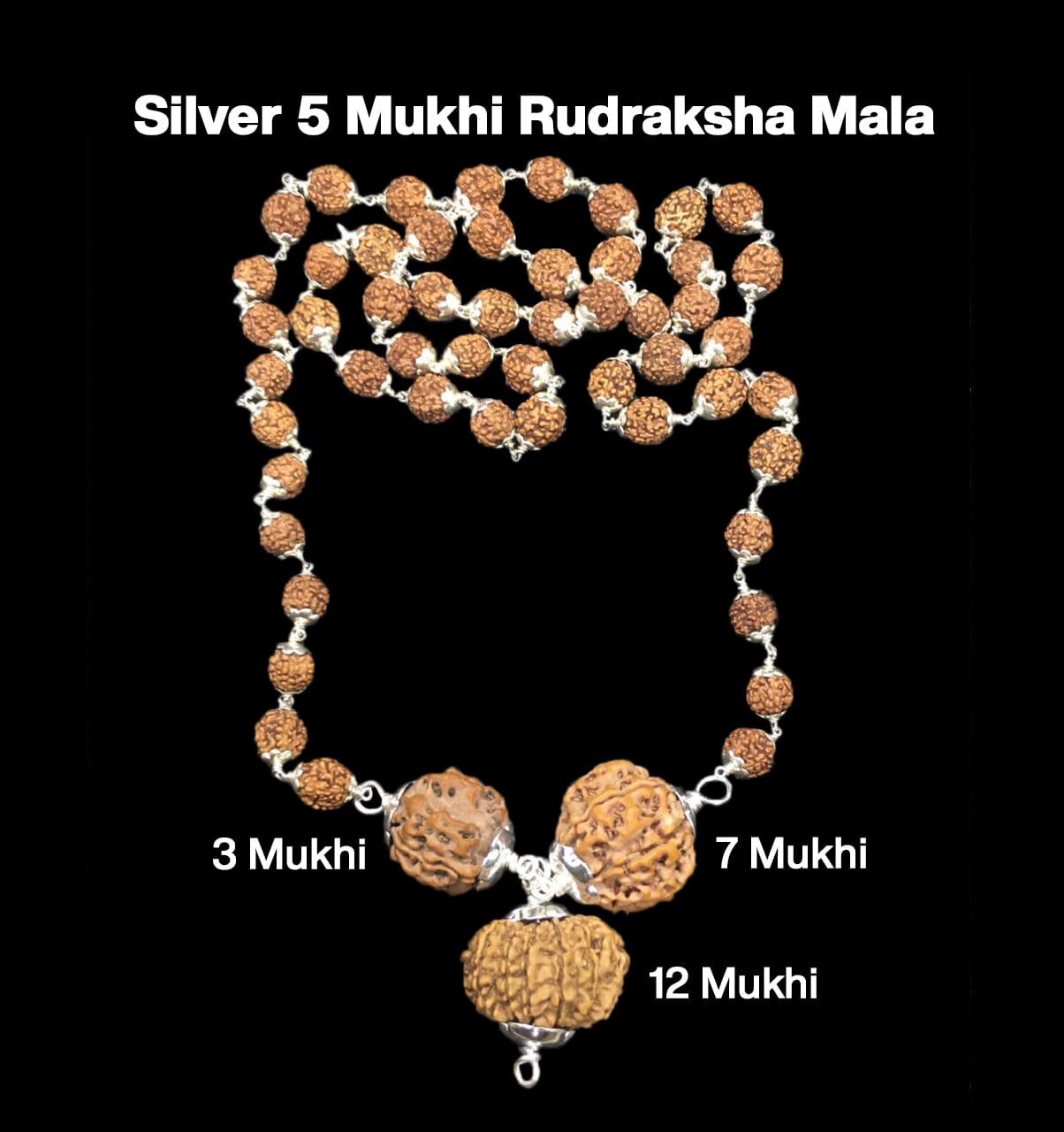 3-7-12-33.jpg Rudraksha Combination for Career 3,7,12 Mukhi Nepal in Silver Mala - Image 1