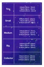 Rudraksha Combination for Career 3,7,12 Mukhi Nepal in Silver Chain - Image 2