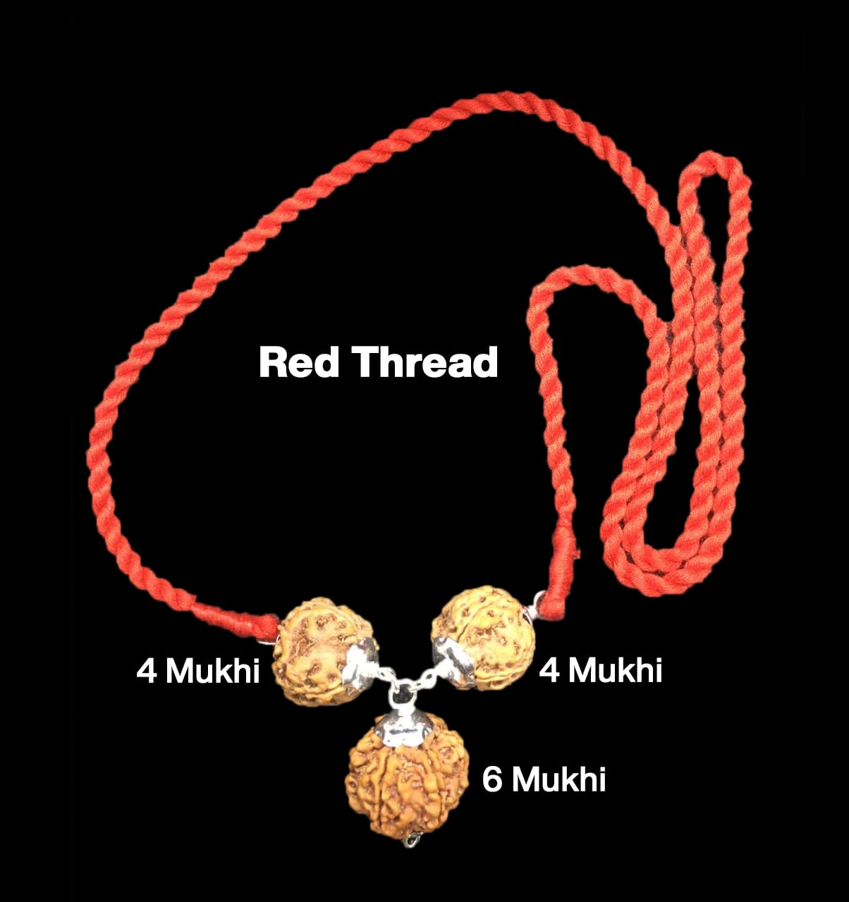 4-4-6-26.jpg Rudraksha Combination for Students 4,4,6 Mukhi Nepal in Silver Pendant - Image 1
