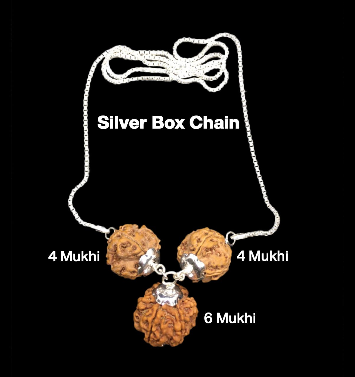 4-4-6-28.jpg Rudraksha Combination for Students 4,4,6 Mukhi Nepal in Silver Chain - Image 1