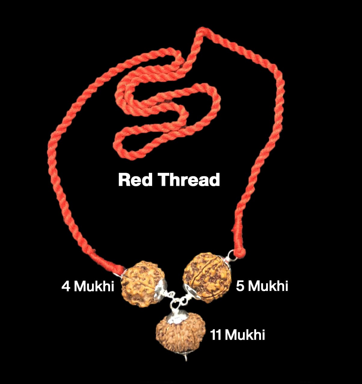 4-5-11-34.jpg Rudraksha Combination for Wisdom 4,5,11 Mukhi Nepal in Silver Pendant - Image 1