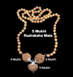 Rudraksha Combination for Hanuman Power 4,5,11 Mukhi Nepal in Rudraksha Mala