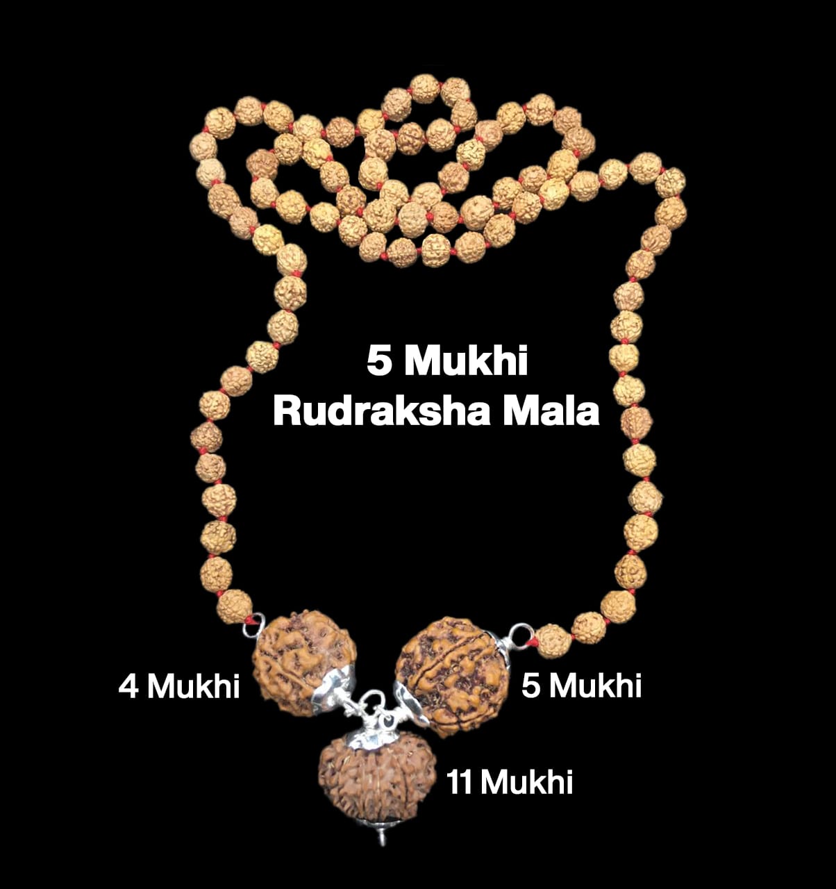 4-5-11-35.jpg Rudraksha Combination for Hanuman Power 4,5,11 Mukhi Nepal in Rudraksha Mala - Image 1