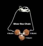 Rudraksha Combination for Wisdom 4,5,11 Mukhi Nepal in Silver Chain