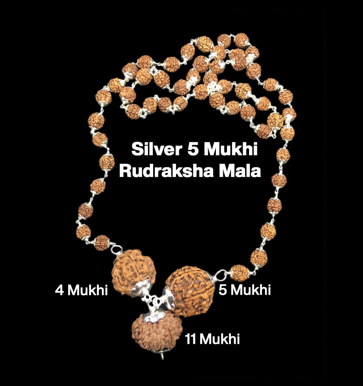 4-5-11-37.jpg Rudraksha Combination for Wisdom 4,5,11 Mukhi Nepal in Silver Mala - Image 1