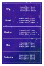 Rudraksha Combination for Hanuman Power 4,5,11 Mukhi Nepal in Silver Pendant - Image 2