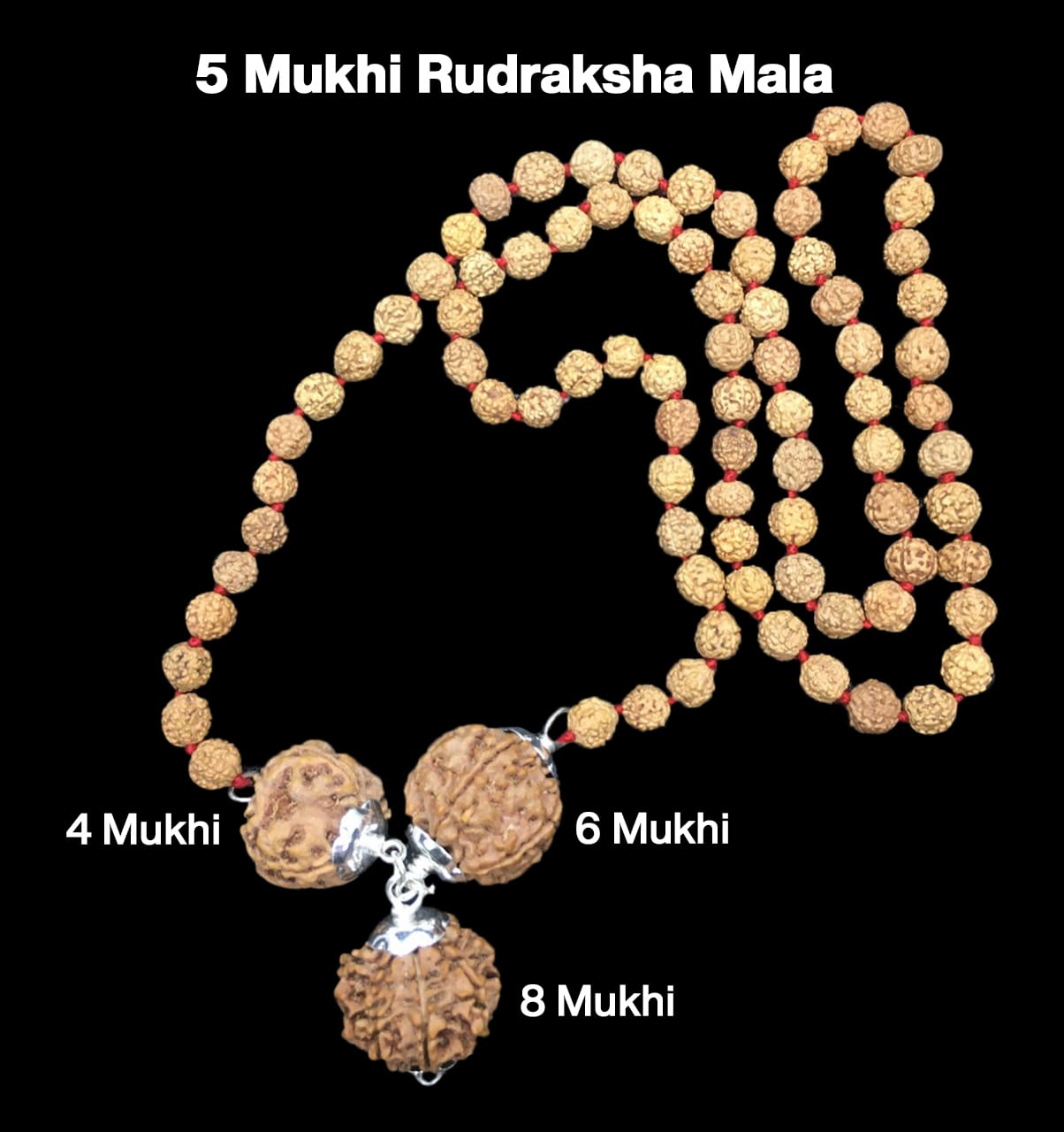 4-6-8-14.jpg Rudraksha Combination for Creativity 4,6,8 Mukhi Nepal in Rudraksha Mala - Image 1