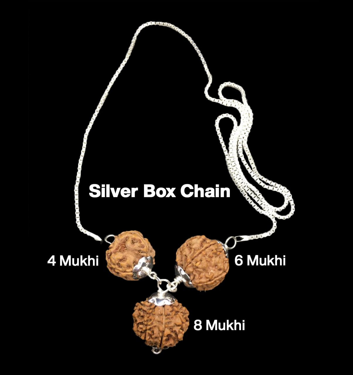 4-6-8-15.jpg Rudraksha Combination for Creativity 4,6,8 Mukhi Nepal in Silver Chain - Image 1