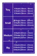 Rudraksha Combination for Creativity 4,6,8 Mukhi Nepal in Silver Pendant - Image 2