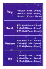 Rudraksha Combination for Doctors 4,9,12 Mukhi Nepal in Silver Chain - Image 2