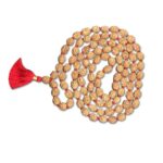 4 Mukhi Indonesian Rudraksha Mala 108 Beads (12mm-14mm)