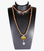 Goddess Durga Kavach 9 Mukhi Rudraksha With Silver Yantra Attached In Rudraksha Mala