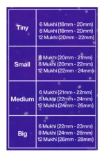 Rudraksha Combination for Business 6,8,12 Mukhi Nepal in Silver Bracelet - Image 2