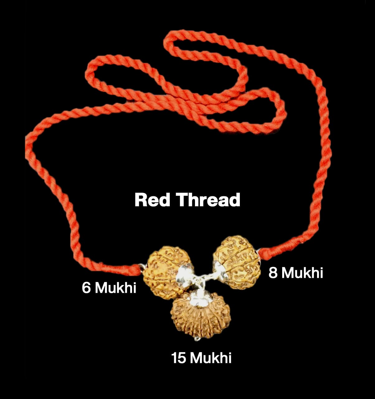 6-8-15-50.jpg Rudraksha Combination for Business 6,8,15 Mukhi Nepal in Silver Pendant - Image 1