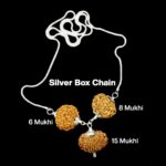 Rudraksha Combination for Business 6,8,15 Mukhi Nepal in Silver Chain