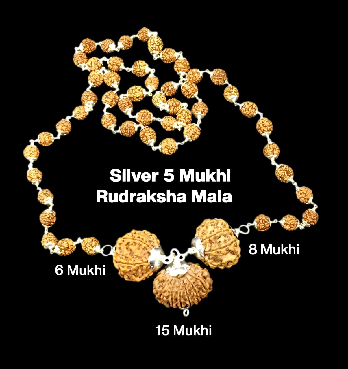6-8-15-53.jpg Rudraksha Combination for Business 6,8,15 Mukhi Nepal in Silver Mala - Image 1