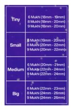 Rudraksha Combination for Females in Business 6,8,9 Mukhi Nepal in Rudraksha Mala - Image 2