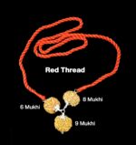 Rudraksha Combination for Females in Business 6,8,9 Mukhi Nepal in Silver Pendant