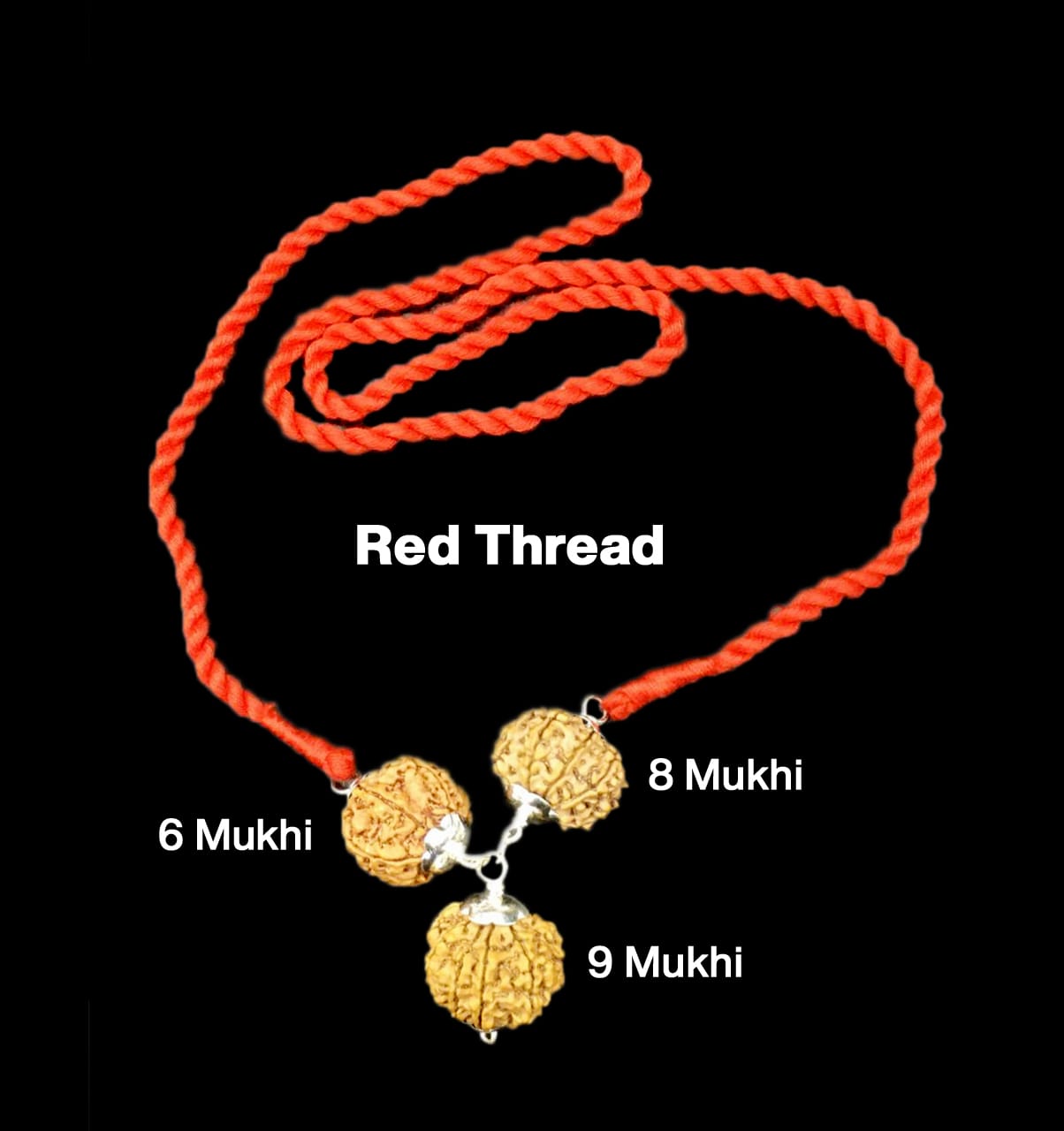 6-8-9-46.jpg Rudraksha Combination for Females in Business 6,8,9 Mukhi Nepal in Silver Pendant - Image 1
