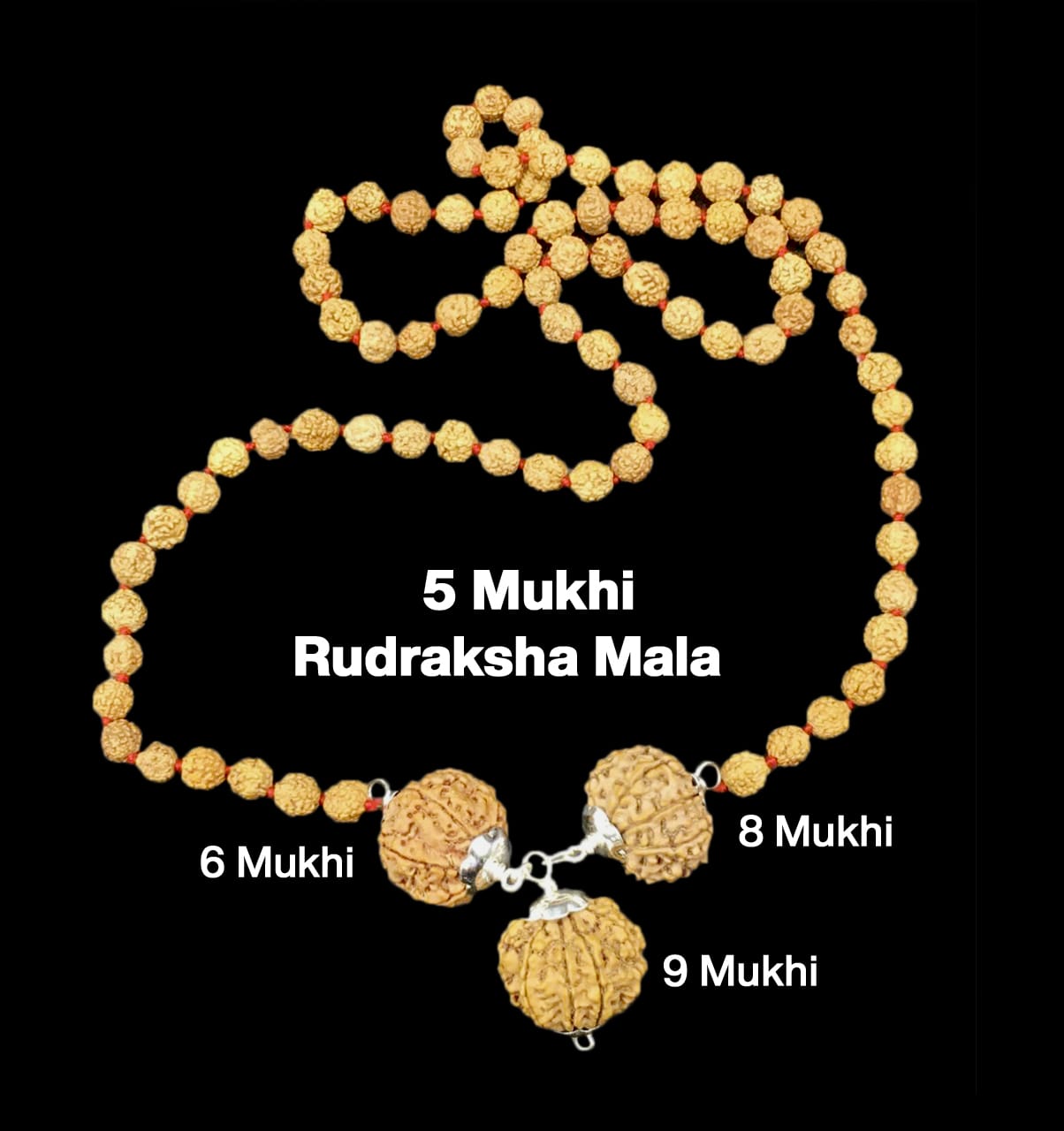 6-8-9-47.jpg Rudraksha Combination for Females in Business 6,8,9 Mukhi Nepal in Rudraksha Mala - Image 1