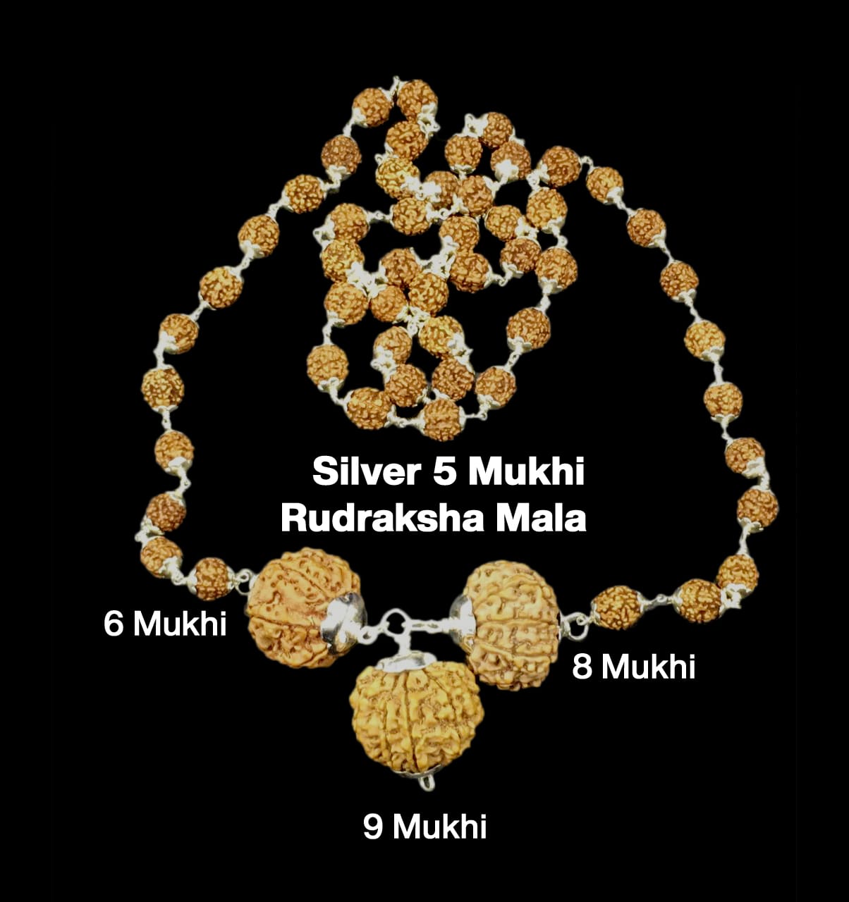 6-8-9-49.jpg Rudraksha Combination for Females in Business 6,8,9 Mukhi Nepal in Silver Mala - Image 1