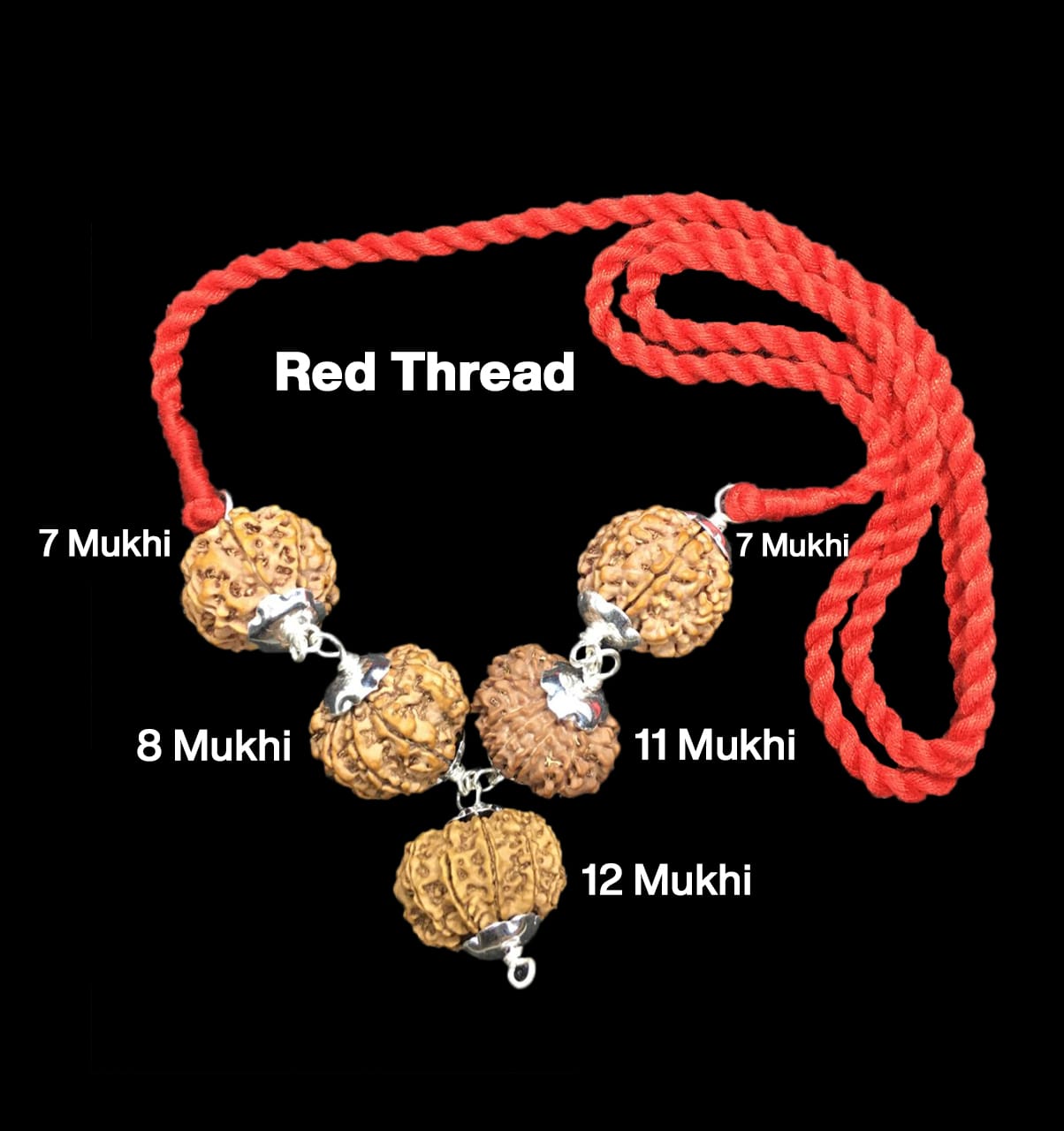 7-7-8-11-12-17.jpg Rudraksha Combination for Business Power (Executives & Businessmen) 7,7,8,11,12 Mukhi Nepal in Silver Pendant - Image 1