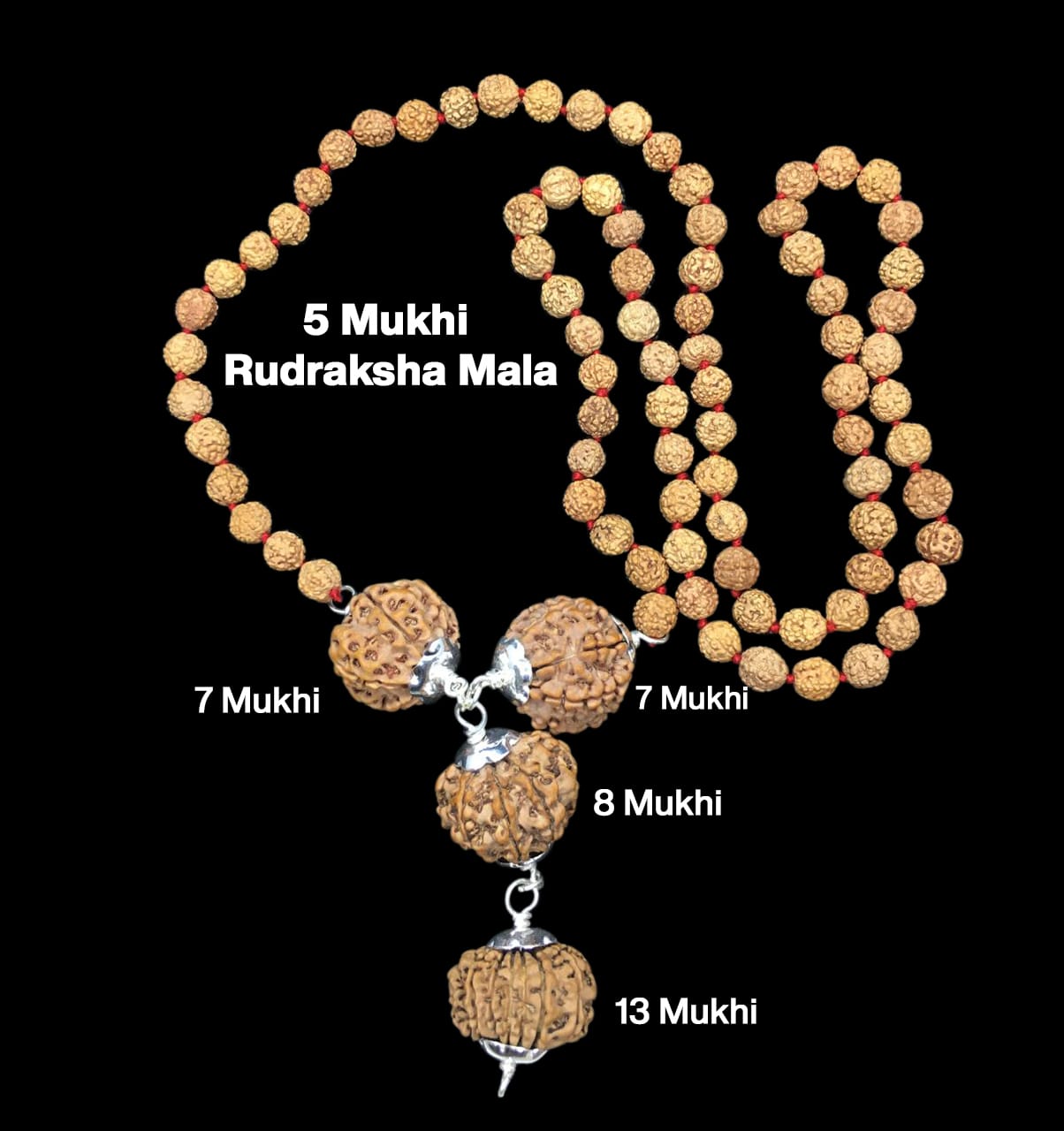 7-7-8-13-6.jpg Rudraksha Combination for Business Power (Marketing & Trading) 7,7,8,13 Mukhi Nepal in Rudraksha Mala - Image 1