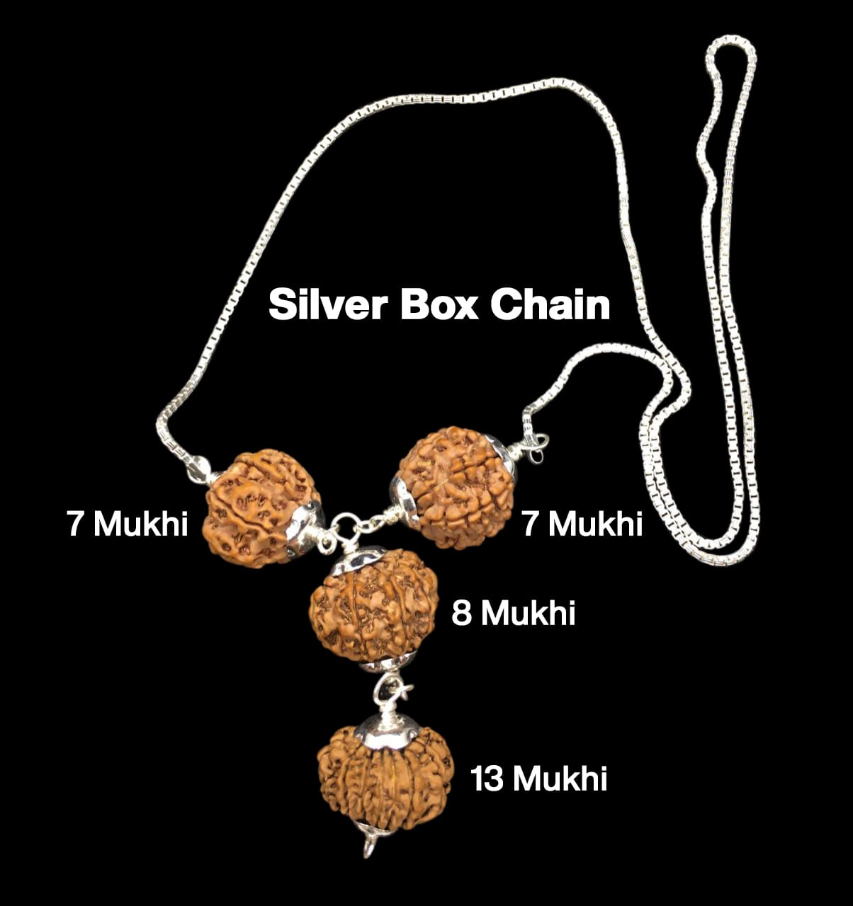 7-7-8-13-7.jpg Rudraksha Combination for Business Power (Marketing & Trading) 7,7,8,13 Mukhi Nepal in Silver Chain - Image 1