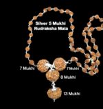 Rudraksha Combination for Business Power (Marketing & Trading) 7,7,8,13 Mukhi Nepal in Silver Mala