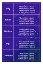 Rudraksha Combination for Business Power (Executives & Businessmen) 7,7,8,11,12 Mukhi Nepal in Rudraksha Mala - Image 2