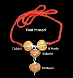 Rudraksha Combination for Wealth 7,9,11,13 Mukhi Nepal in Silver Pendant