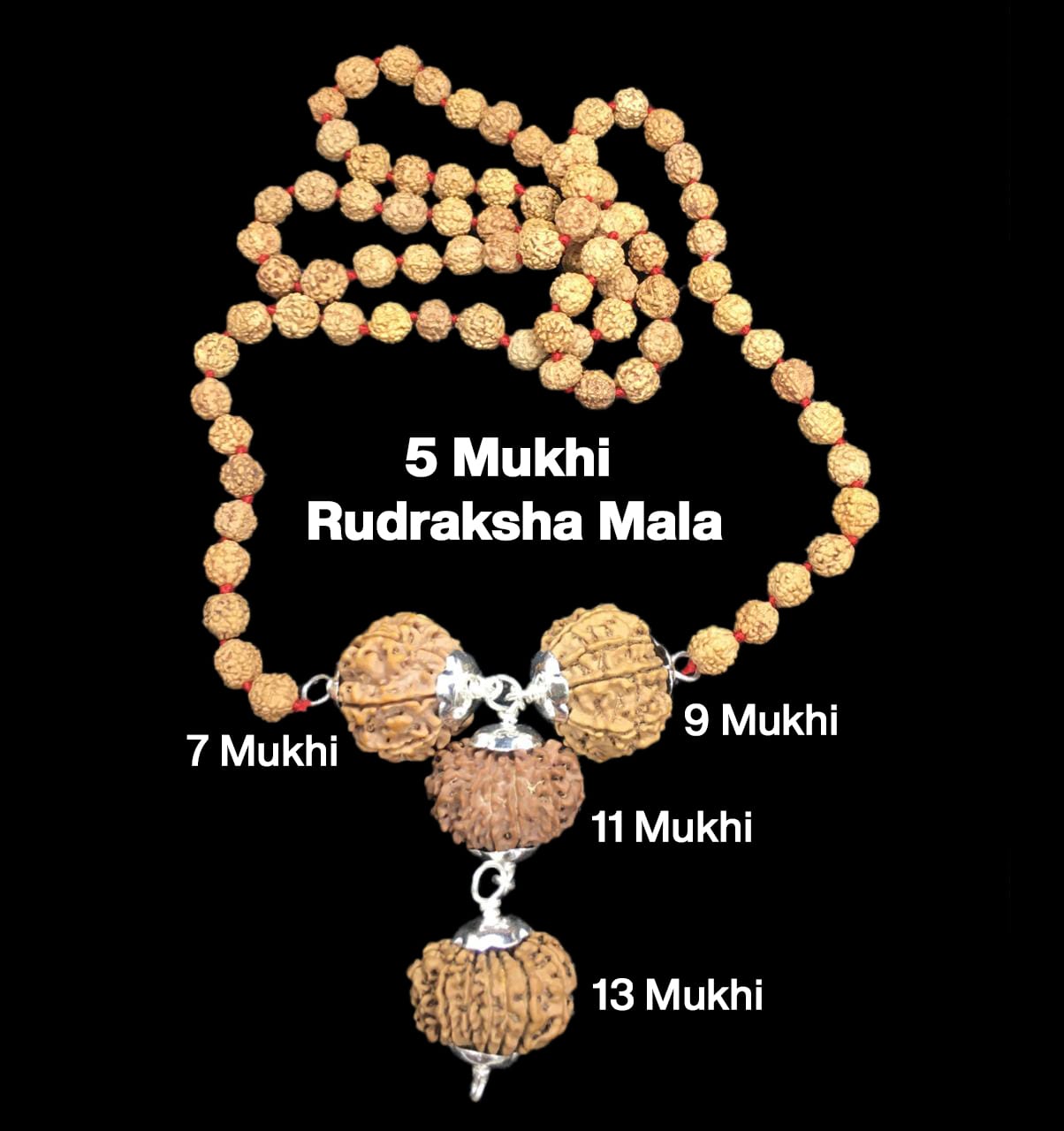 7-9-11-13-59.jpg Rudraksha Combination for Wealth 7,9,11,13 Mukhi Nepal in Rudraksha Mala - Image 1