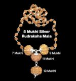 Rudraksha Combination for Wealth 7,9,11,13 Mukhi Nepal in Silver Mala