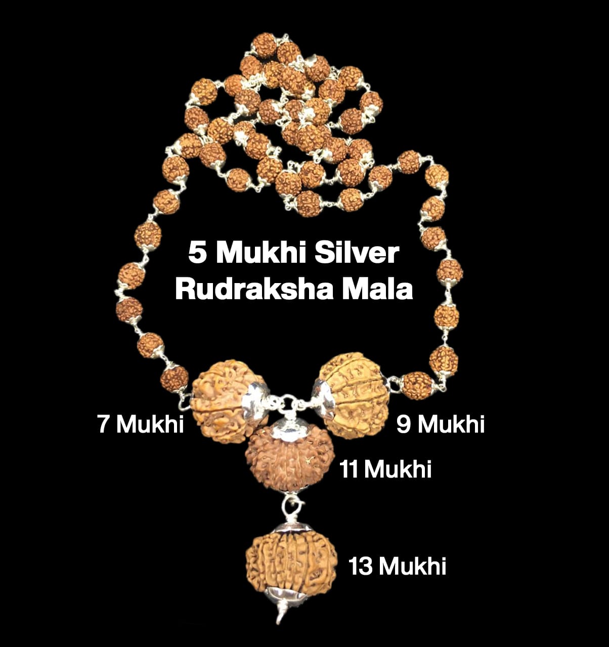 7-9-11-13-61B.jpg Rudraksha Combination for Wealth 7,9,11,13 Mukhi Nepal in Silver Mala - Image 1