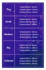 Rudraksha Combination for Protection 8,10,12 Mukhi Nepal in Silver Pendant - Image 2