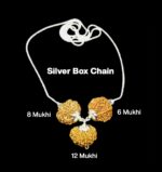 Rudraksha Combination for Business 6,8,12 Mukhi Nepal in Silver Chain