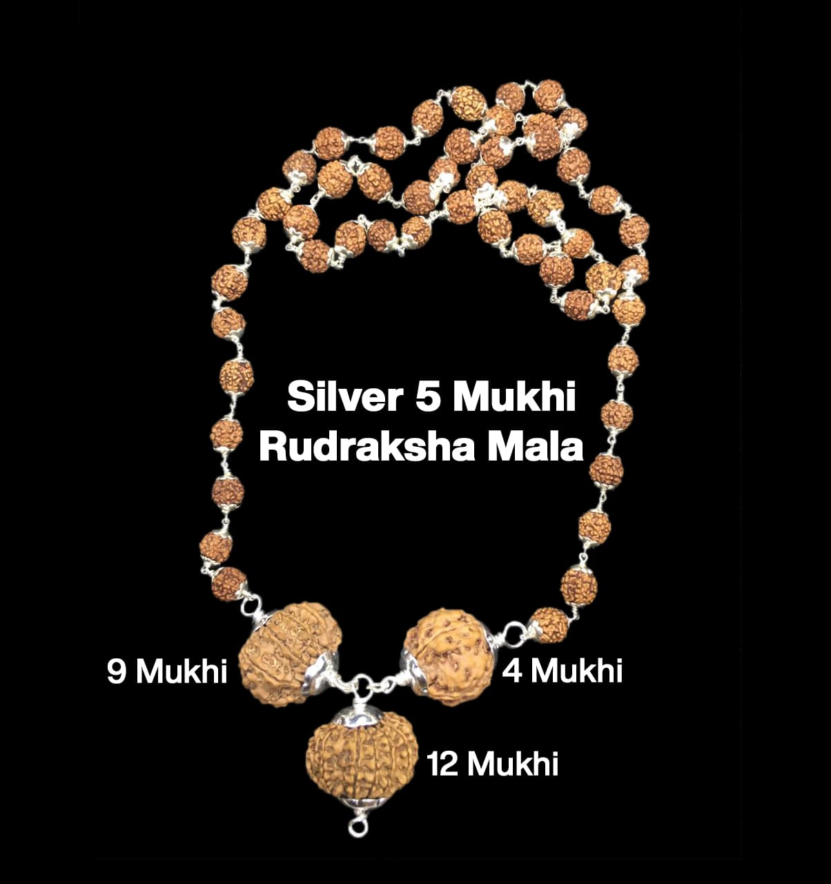9-4-12-38.jpg Rudraksha Combination for Doctors 4,9,12 Mukhi Nepal in Silver Mala - Image 1
