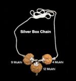 Rudraksha Combination for Doctors 4,9,12 Mukhi Nepal in Silver Chain