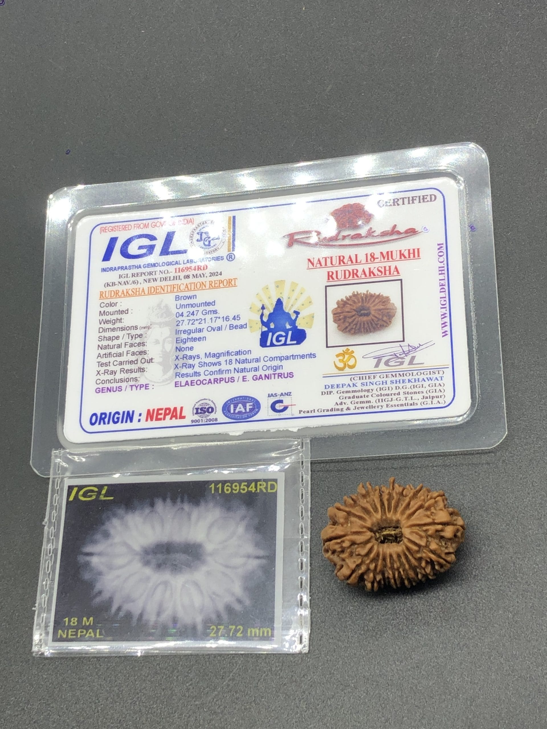 IMG_8621-scaled-1.jpg 18 Mukhi Nepal Rudraksha Eighteen Face 27.72mm 4.24 GMS - Image 1