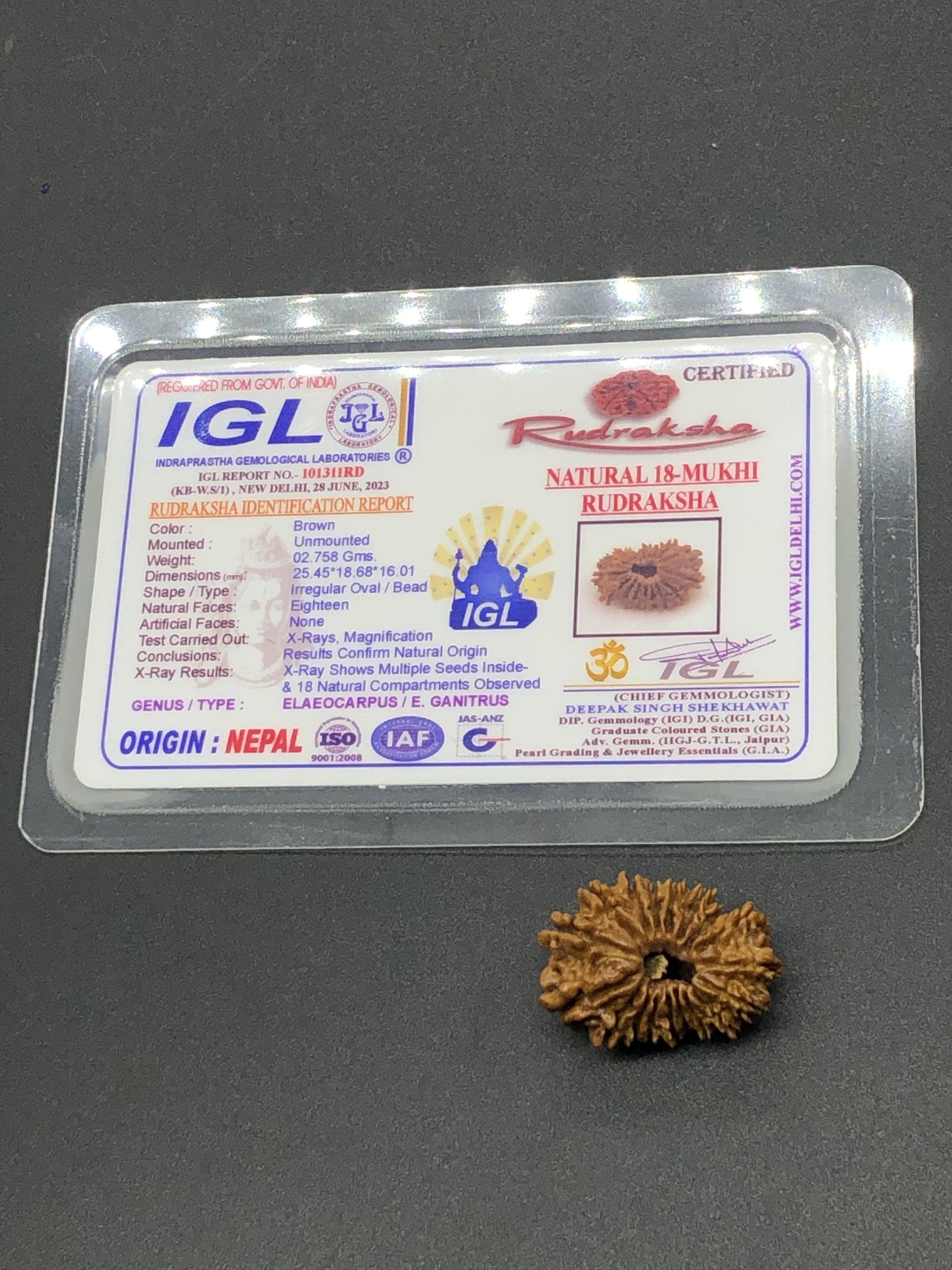 IMG_8637-scaled-1.jpg 18 Mukhi Nepal Rudraksha Eighteen Face 25.45mm 2.75 GMS - Image 1