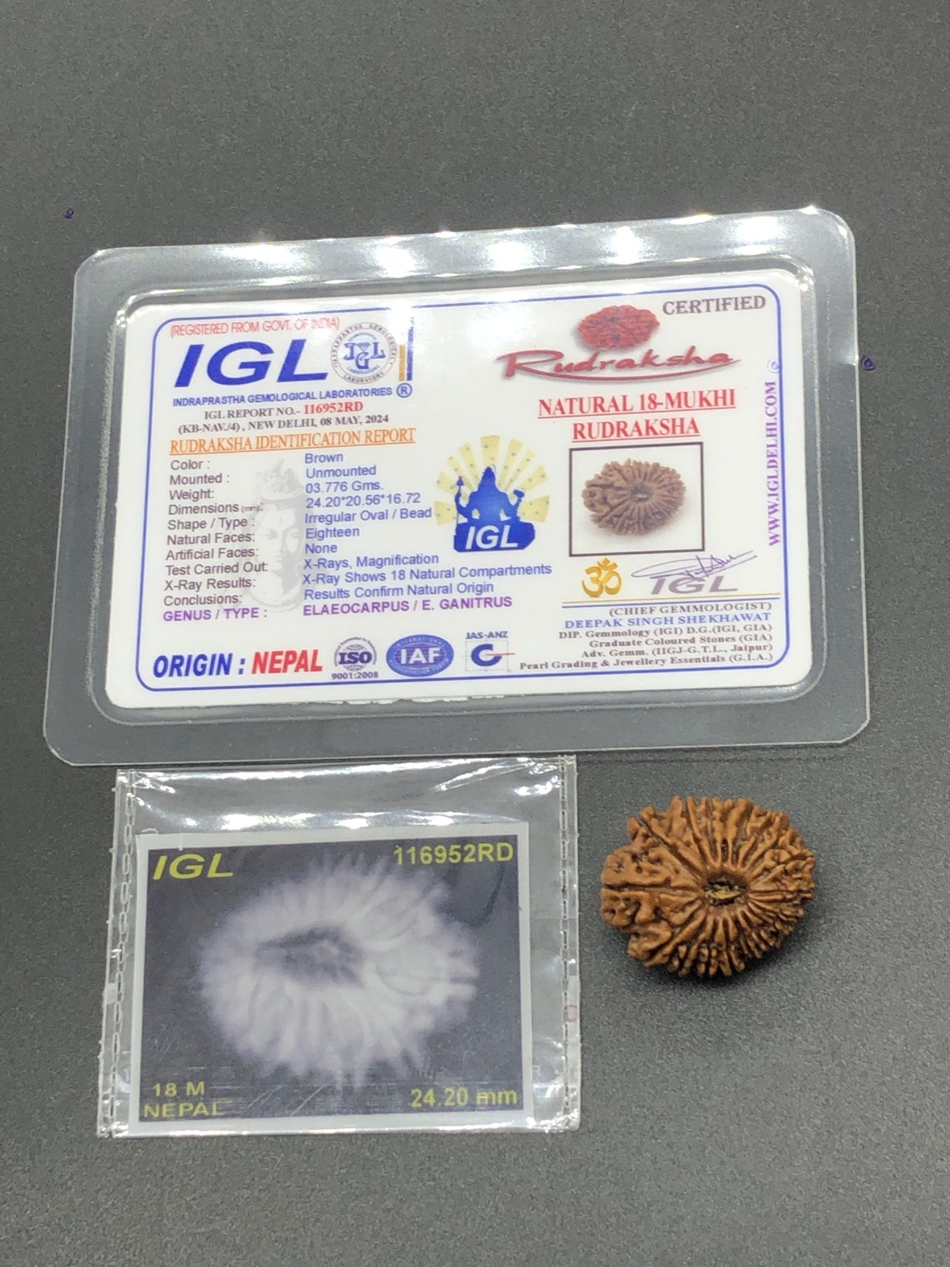 IMG_8640-scaled-1.jpg 18 Mukhi Nepal Rudraksha Eighteen Face 24.20mm 3.77 GMS - Image 1